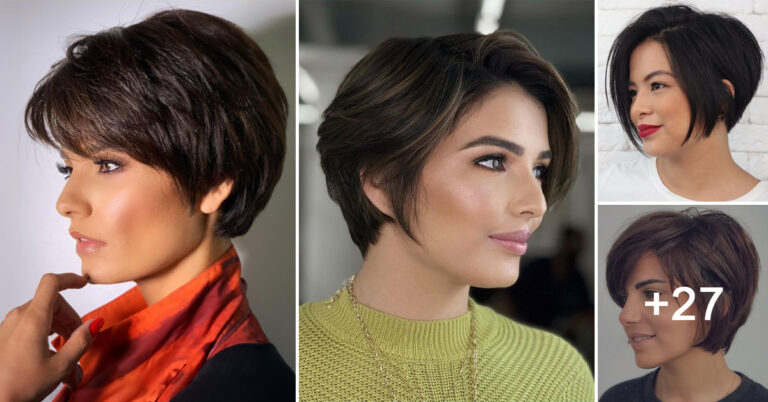 Bester Pixie-Bob-Schnitt: Tauchen Sie ein in zeitlose Eleganz