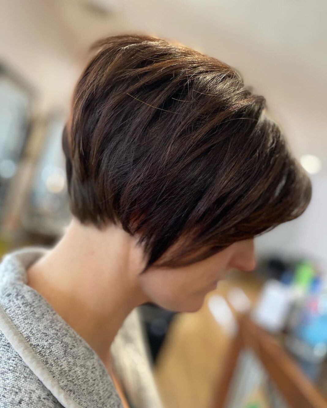 Pixie-Bob-Schnitt