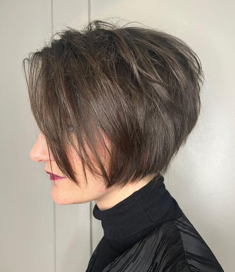 Pixie-Bob-Schnitt