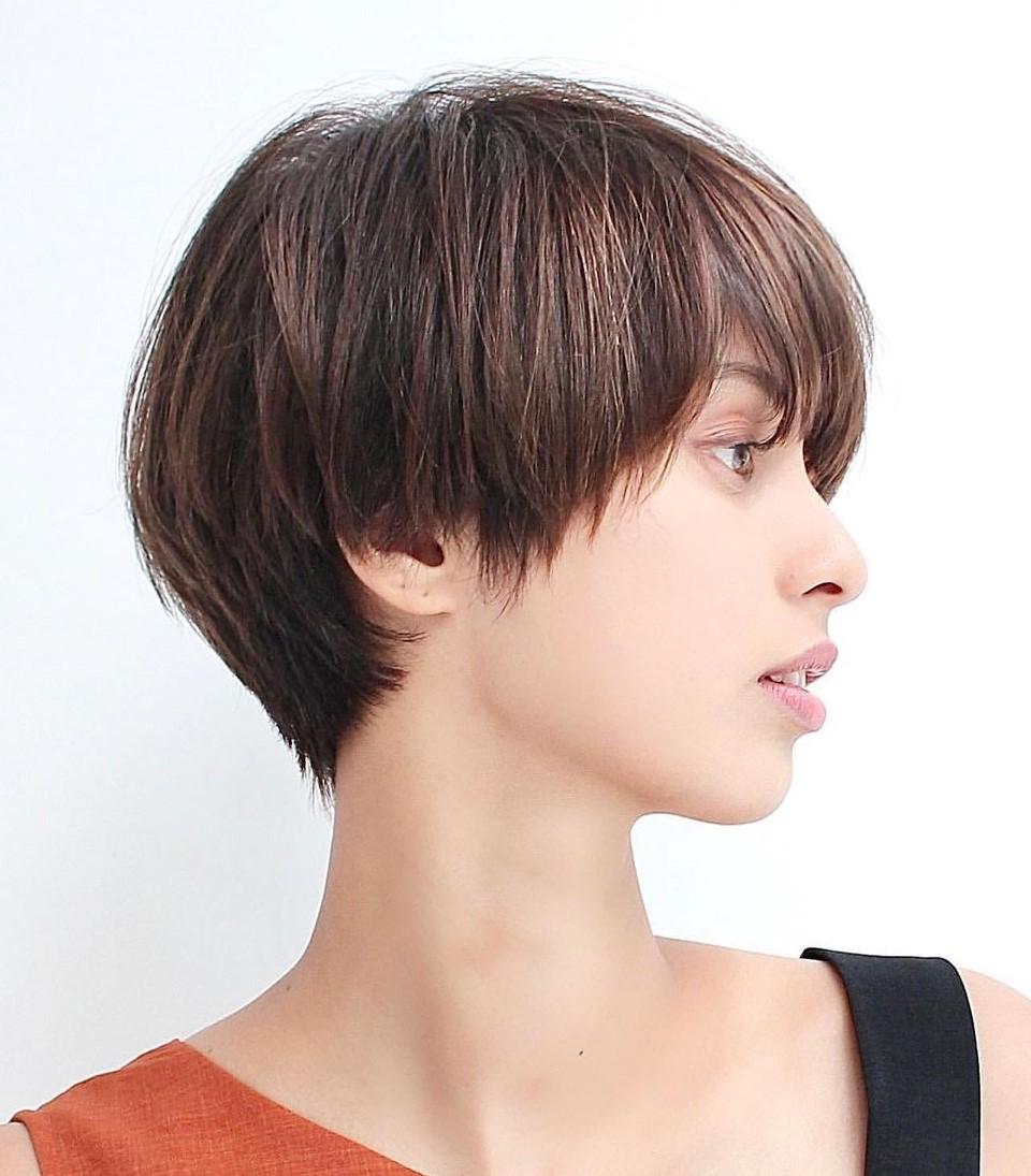 Pixie-Bob-Schnitt