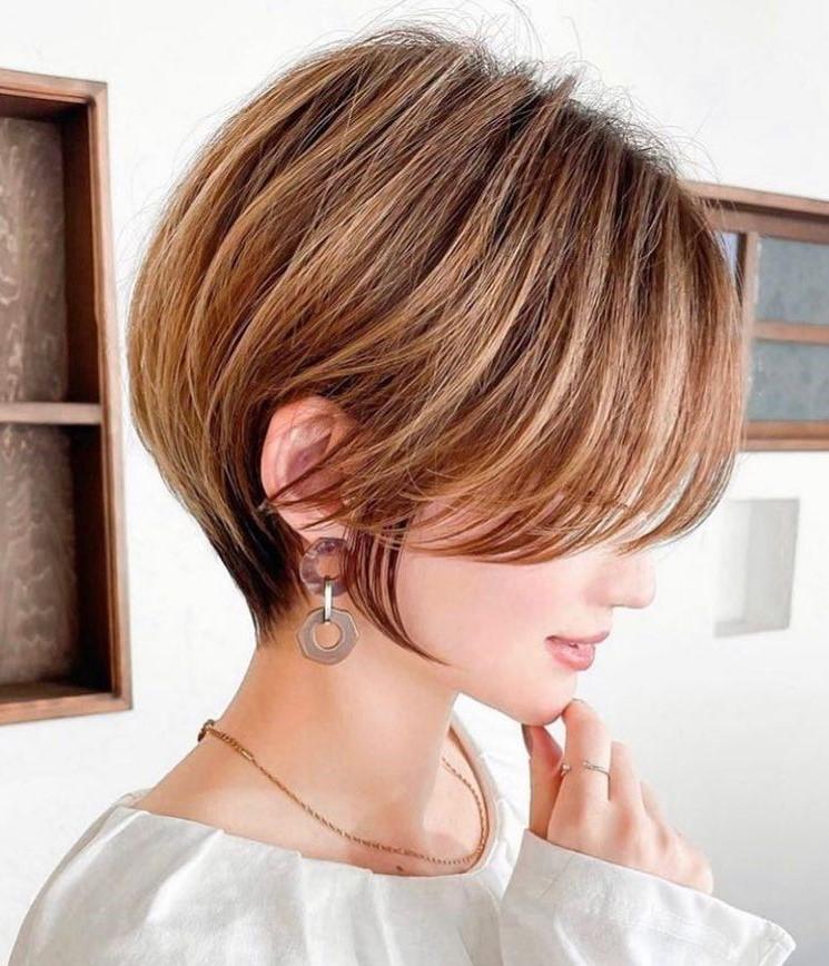 Pixie-Bob-Schnitt