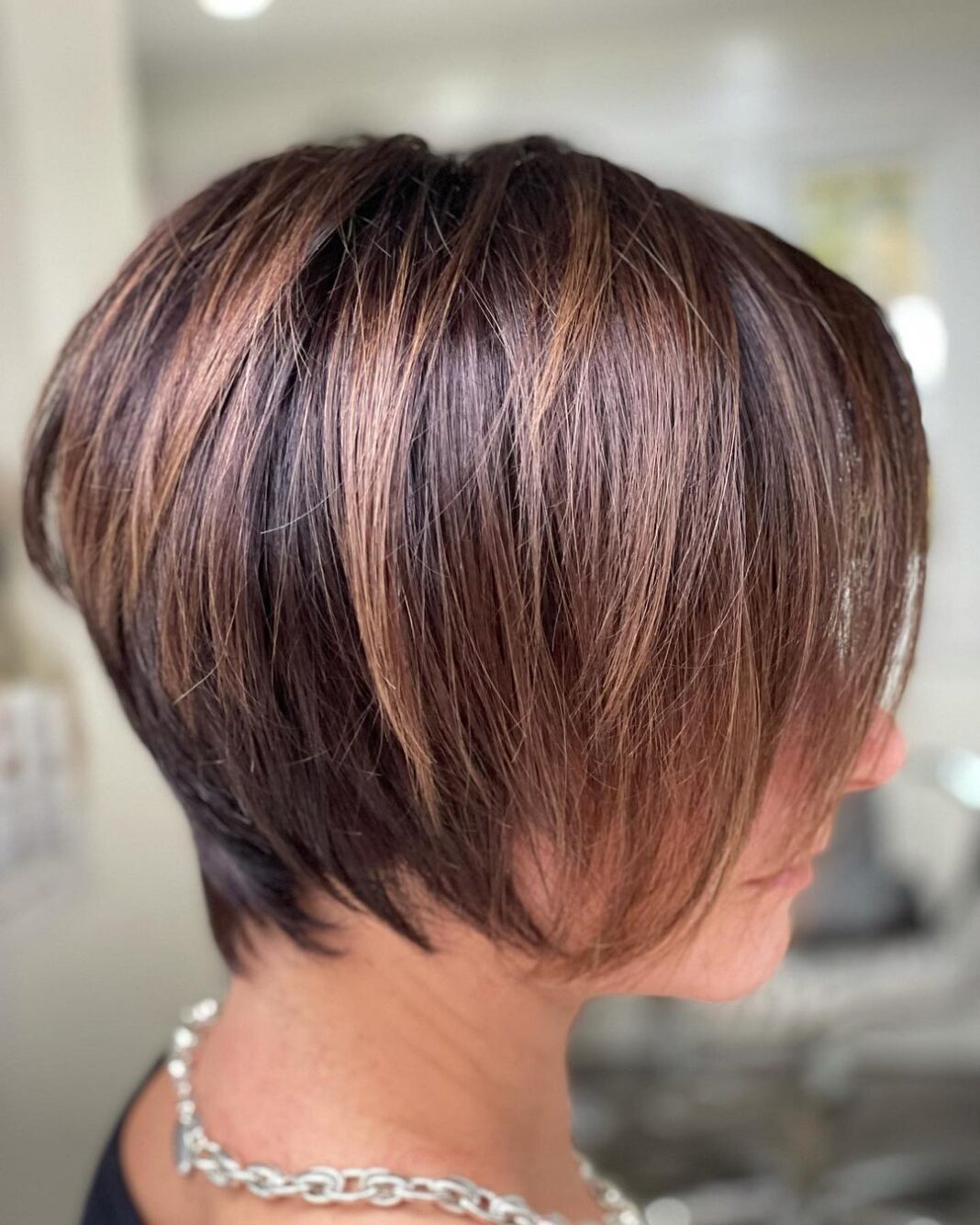 Bester Pixie-Bob-Schnitt